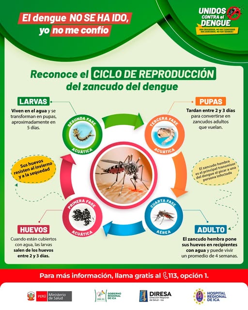 Puede ser una imagen de texto